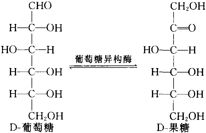 二、酶的分類